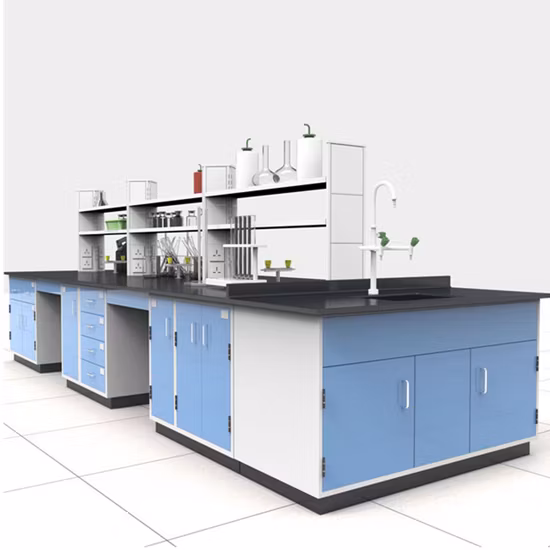 상업 학교 실험실 가구 및 캐비닛이 있는 상업 실험실 테이블 아일랜드 실험실 벤치