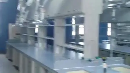 내구성이 뛰어난 내화학성 물리학 화학 실험실 가구, 과학 실험실 벤치